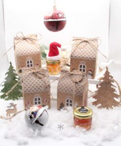 Casetta di Natale
