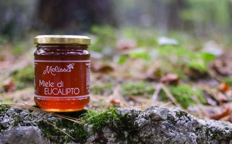 Miele di Eucalipto